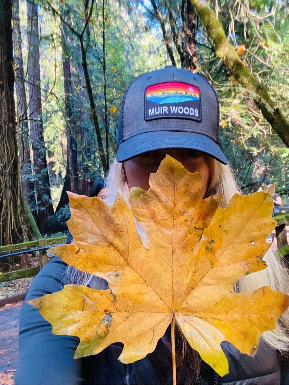 Legacy Black Hat with Multicolor Sunset Patch Muir Woods